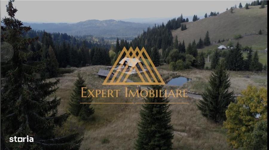 3 Hectare teren in varf de munte si 2 cabane pe traseul Via Transilva - 9