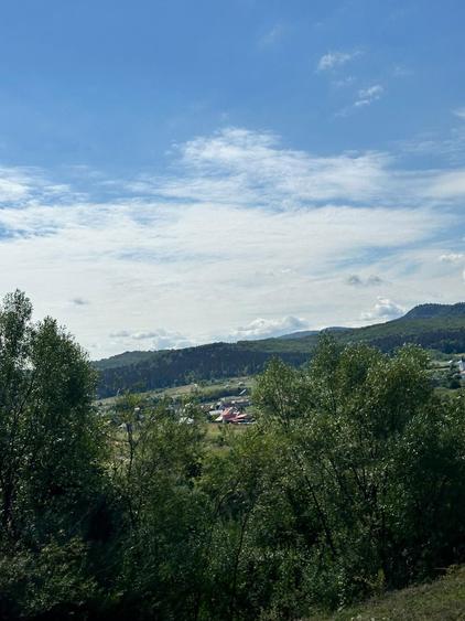 Teren 3.552 mp de vanzare (scrie pe whatsapp) Marginea, zona Dealu Fatului - 2