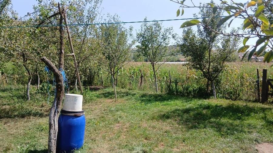 Casa de vanzare Soporu de Campie - 16
