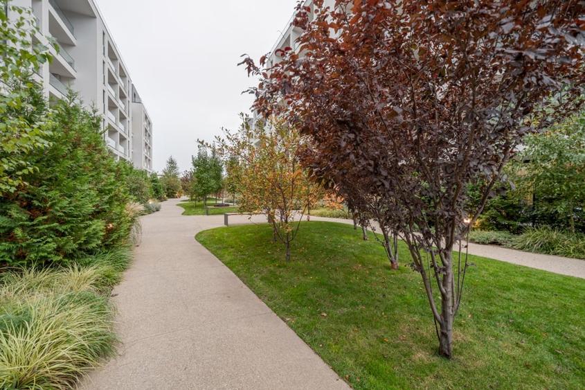 The Ivy*Etaj 2*Bloc faza 1*Vedere gradina*Loc de parcare*Ready to move in - 17