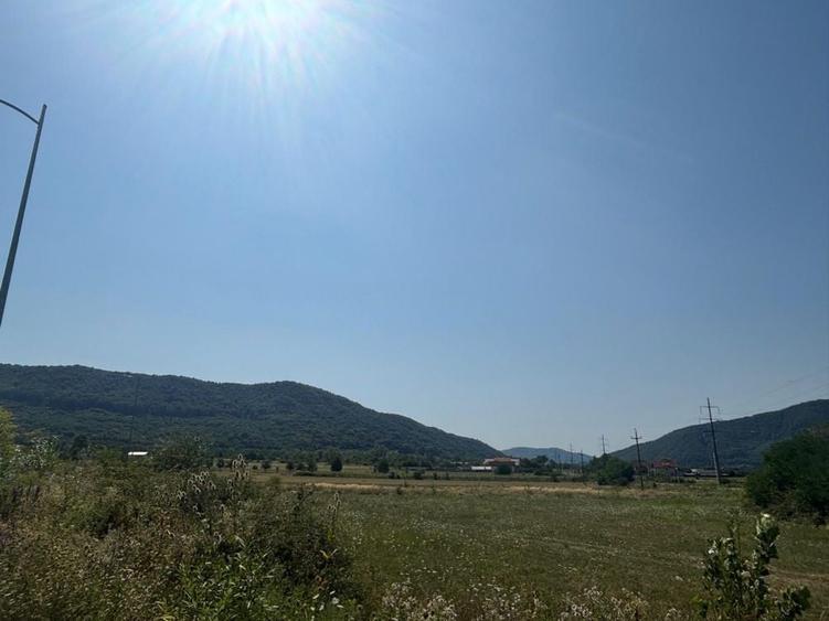 Teren Calimanesti 8//mp - 5