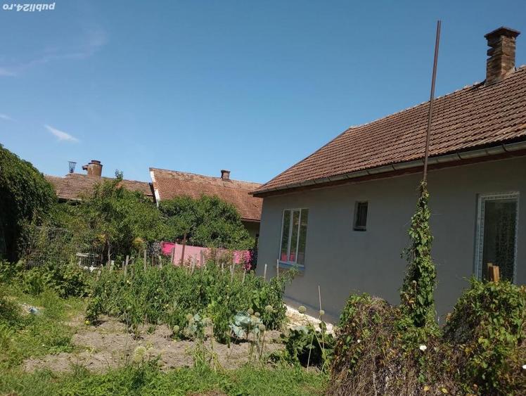 Vand casa dominanta - 3