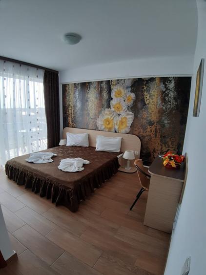 Vila cu 16 camere, ideala pentru azil de batrani sau turism - 13