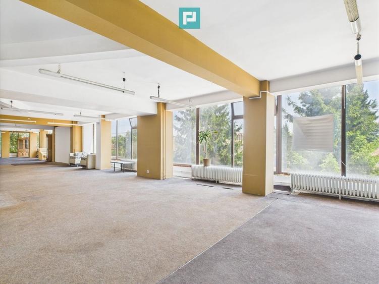 SAD – Calea Aradului, vad excelent - 2