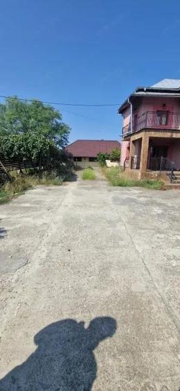 Case Parvu Ro?u - Coste?ti la 13 km de Pite?ti - 11