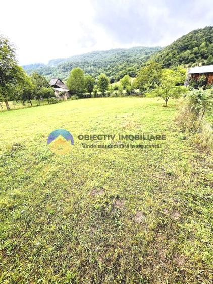 TEREN  intravilan comuna  TARCAU - STRAJA - 10