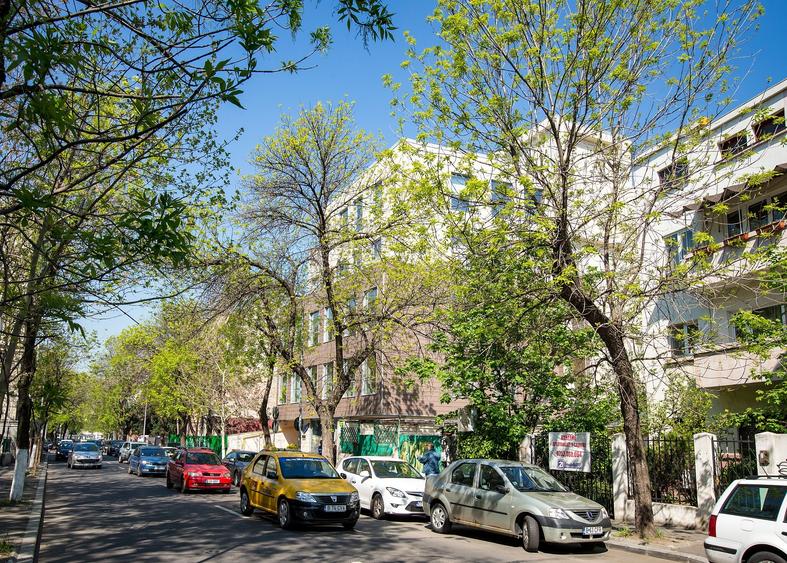 Spatiu comercial de inchiriat in Domus II - 4