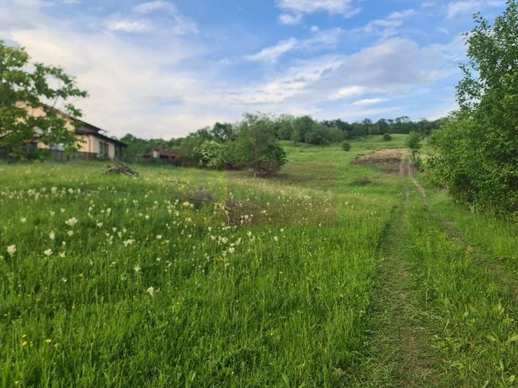 Teren Construcții intravilan de 471 mp, în Mușcel - 8