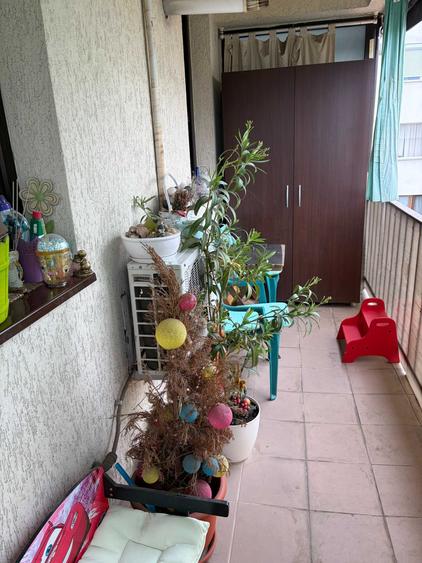Vand apartament 2 camere Vatra Luminoasa - 6