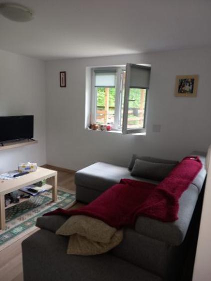 Vand Casa La Munte - 5