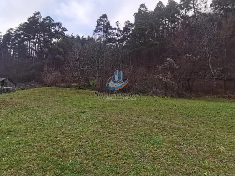 Teren Straja - Pangarati 3560 m, zona de Pensiune - 4