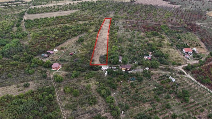 RECO Teren Episcopia - 3