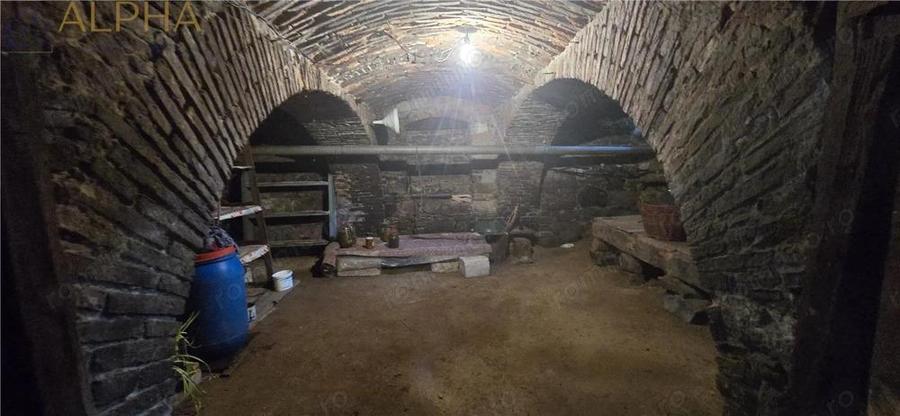 Casa renovata de vanzare Crainimat , BN cu teren 3148 mp - 10