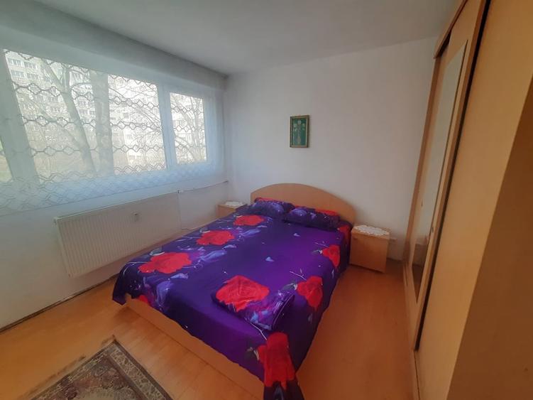 Drumul Taberei Favorit - 9