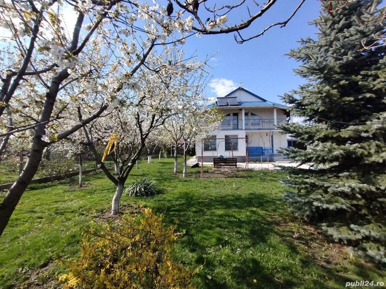 Casa mobilata si utilata, pe 840 mp teren + drum privat Moara - 10