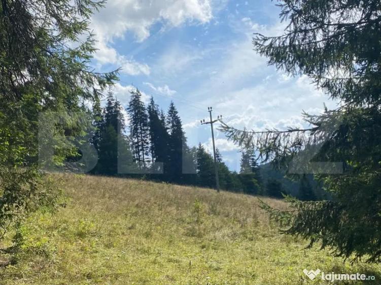 Oportunitate de Investi?ie: Teren de 10.000 mp la Intrarea - 3