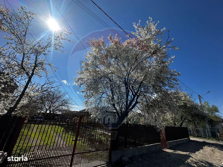 Casa de de vanzare Tartasesti - 17