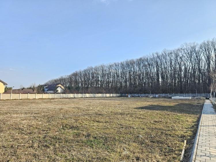 Teren de vanzare in Corbeanca - 3937 mp, amplasat intr-un cartier rezidential. - 1