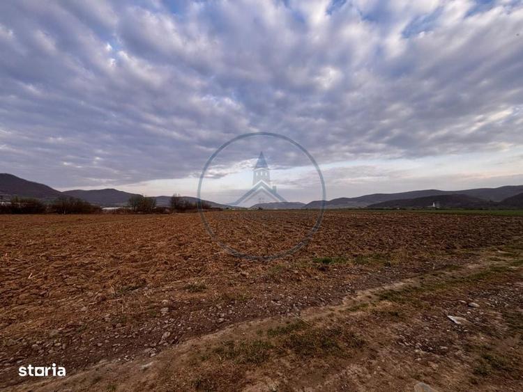 Teren extravilan de vanzare | ?ieu-Magherus | Ideal pentru cabana / r - 4