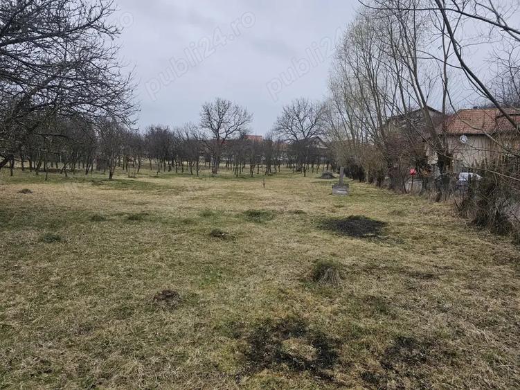 Casa de vanzare in Sat Sacel, Com. Baisoara - 2