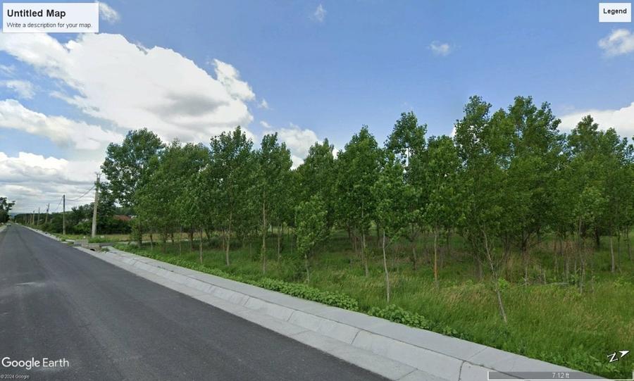 Vand parcele PADURE seculara stejar, N.Balcescu Valcea, la drum, conditii CABANA - 3