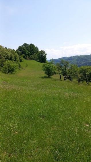 Gospodărie completă + anexe și teren 1,5 ha Năsăud - 9