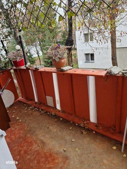 Apartament Dambu Pietros - 3