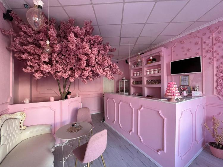 Spatiu Comercial 45 mp Mihai Eminescu Dacia Piata Romana - 1