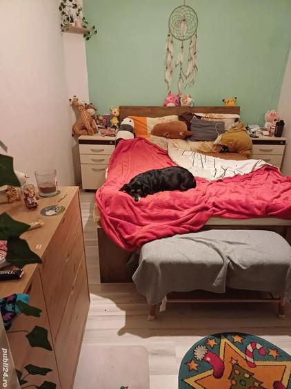 Vand casa 2 camere zona Petre Ispirescu - 6