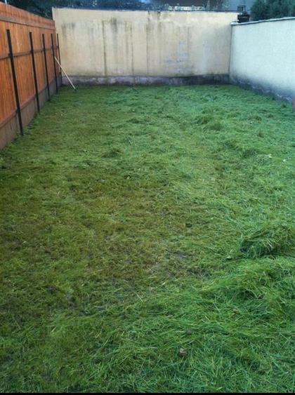 Vila 8 Camere si Curte  Spatiu Ideal pentru Familie Mare sau Investitie - 33