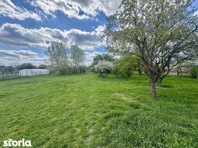 Vand teren 4097 mp, Aradul Nou - 1