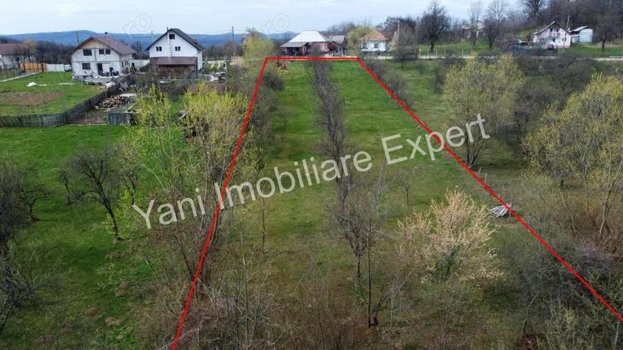 Teren de vanzare in comuna Valea Iasului, sat Cerbureni, jude? Arge?. - 1