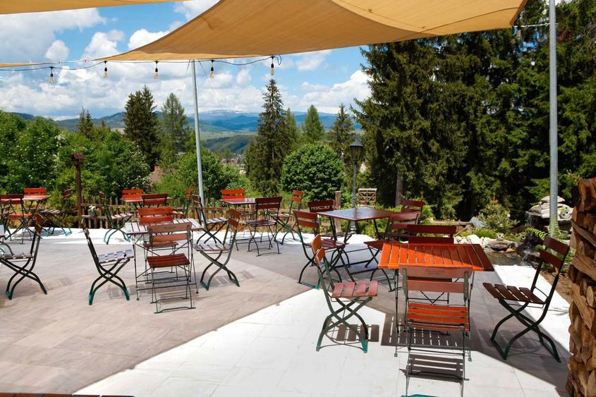 Oportunitate de Investitie Afacere la Cheie: Cabana si Restaurant in Toplita, intre Partia de Schi si Strandul Banffy - 8