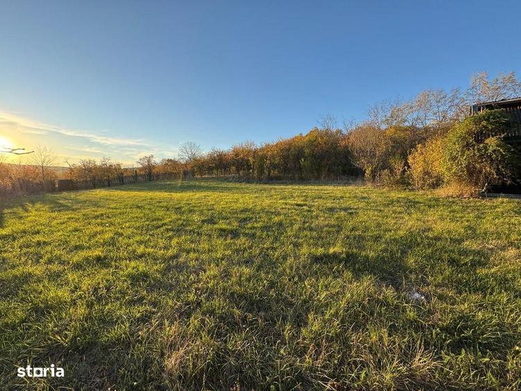 Teren intravilan 3323 Husasau de Cris - 4