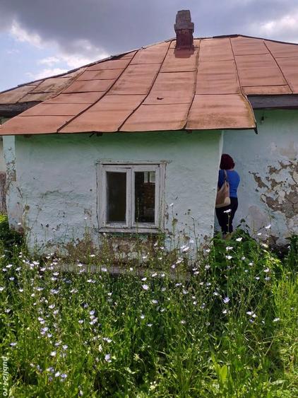 Casa in Ardeoani plus doua hectare de padure - 6