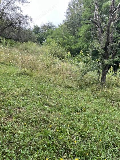 VAND TEREN PENTRU CONSTRUCTII, COM.CETATENI - ARGES - 5