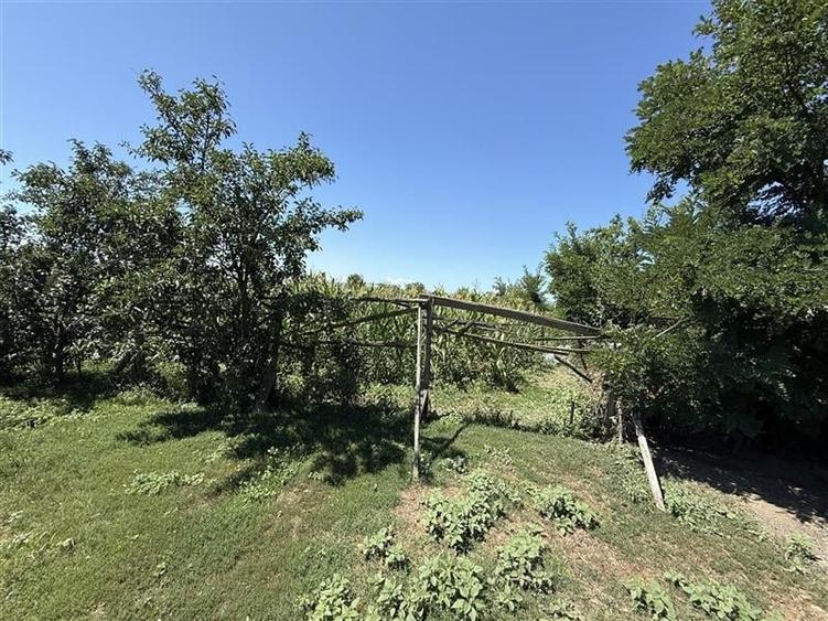 Teren cu casa veche-Holt! - 9