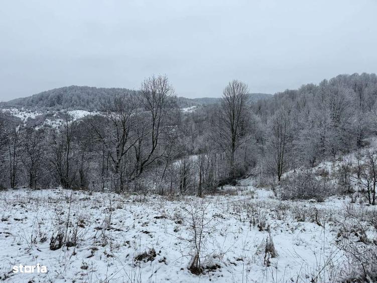 Provi?a de Jos - teren 3824mp - 18 Euro/mp Neg. - 5