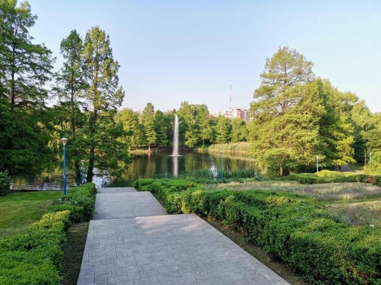 3 camere Stefan Cel Mare | Parcul Circului |2 balcoane |Bloc Anvelopat - 12