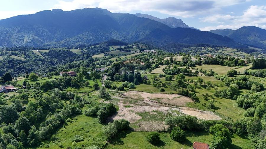 Comision 0% | Teren intravilan 3000 mp| Sohodol | Cadru natural de vis