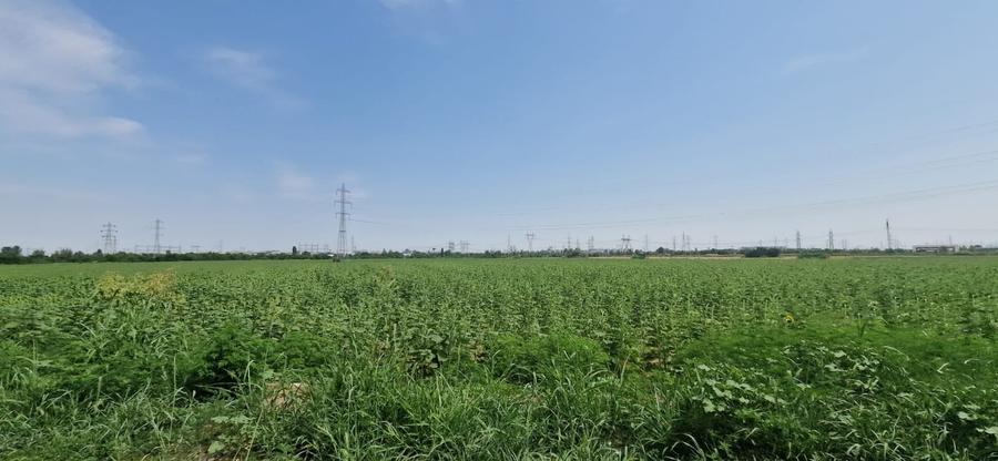 Teren intravilan de Vanzare - Popești-Leordeni / Splaiul Unirii - 10