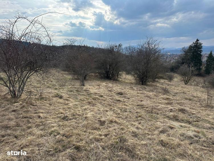 Teren extravilan pa?une 6.000 mp Cristian, Bra?ov - 1
