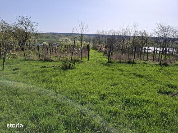 Vand casa in Sulita langa iaz Dracsani, Jud. Botosani - 3
