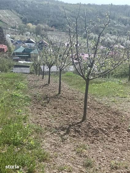Casa de vacanta - 6