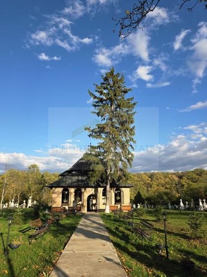 Reședință exclusivistă cu deschidere la Lacul Scroviștea - 19