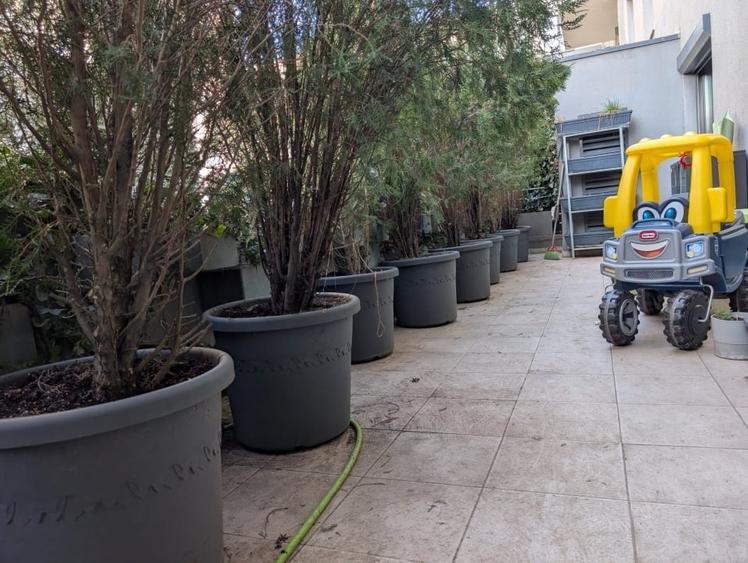 Apartament 3 cam + terasă + 2 loc parcare – ideal familie – Fabrica de Glucoza - 15