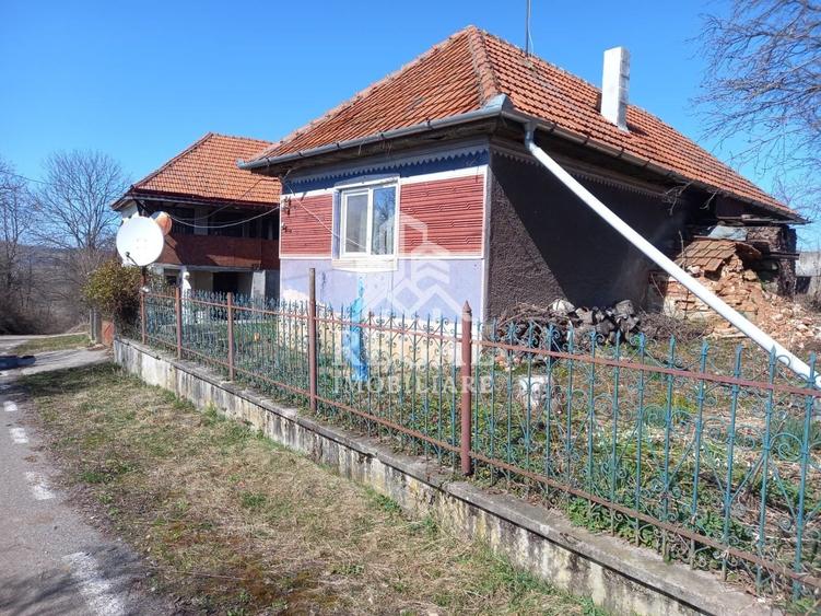 Două case de vânzare – Cerisor – teren generos 6996 mp - 1