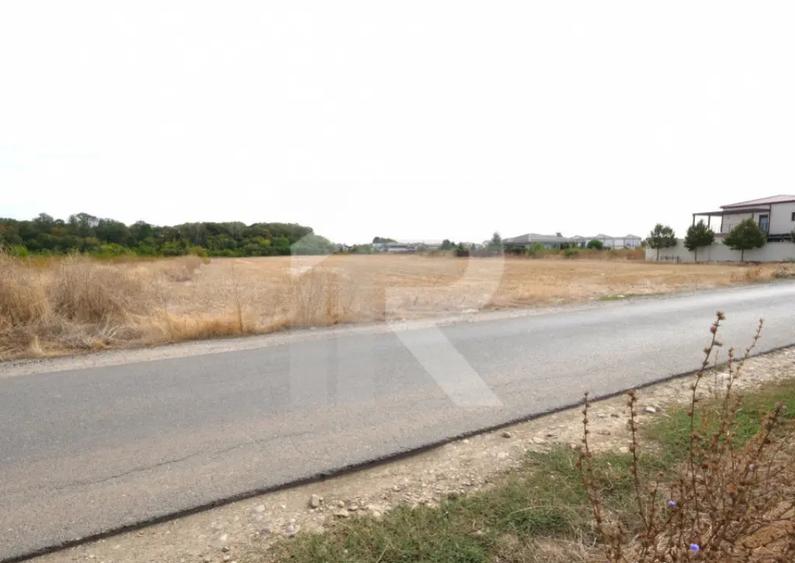 LOTURI PENTRU CASA - 420mp + 89mp drum - Otopeni, Ilfov - IN - 5