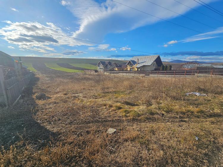 Teren Turturesti la strada principala - 8