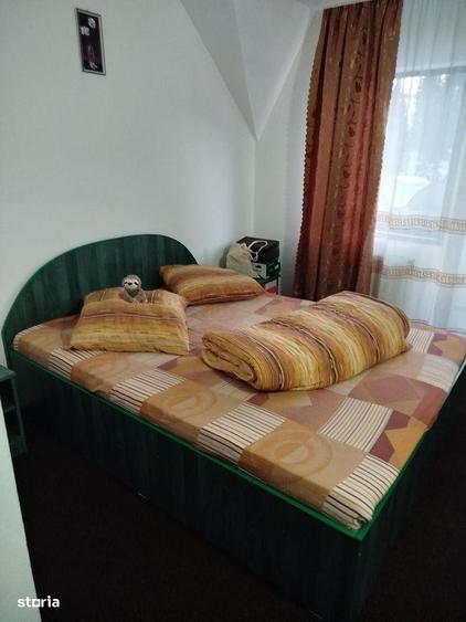 Pensiune + ferma piscicola (sturion/caviar) | Saru Dornei/Sarisor - 4